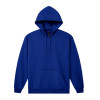 HEAVY BLEND™ ADULT HOODED SWEATSHIRT